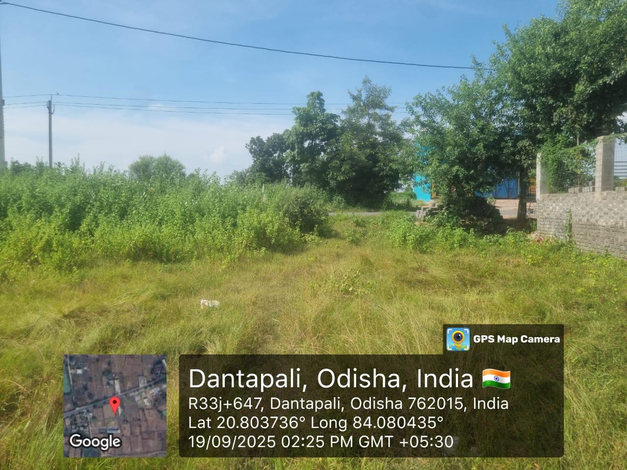 Plot for Sale in BOUDH, Boudh