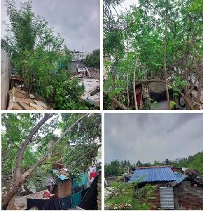 Plot for Sale in Bhubaneswar