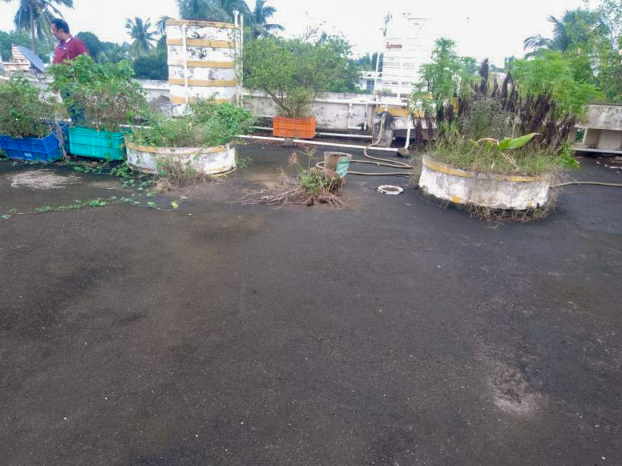 Individual House for Sale in ROHITA MALLICK, Kapilprasad, Bhubaneswar, Bhubaneswar