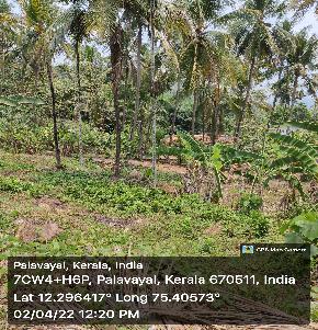 Plot for Sale in ARACKAL, Palavayal, KOZHICHAL