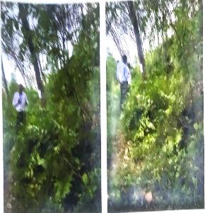 Plot for Sale in Thiruvananthapuram
