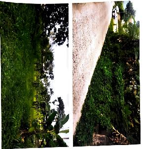 Plot for Sale in Thiruvananthapuram