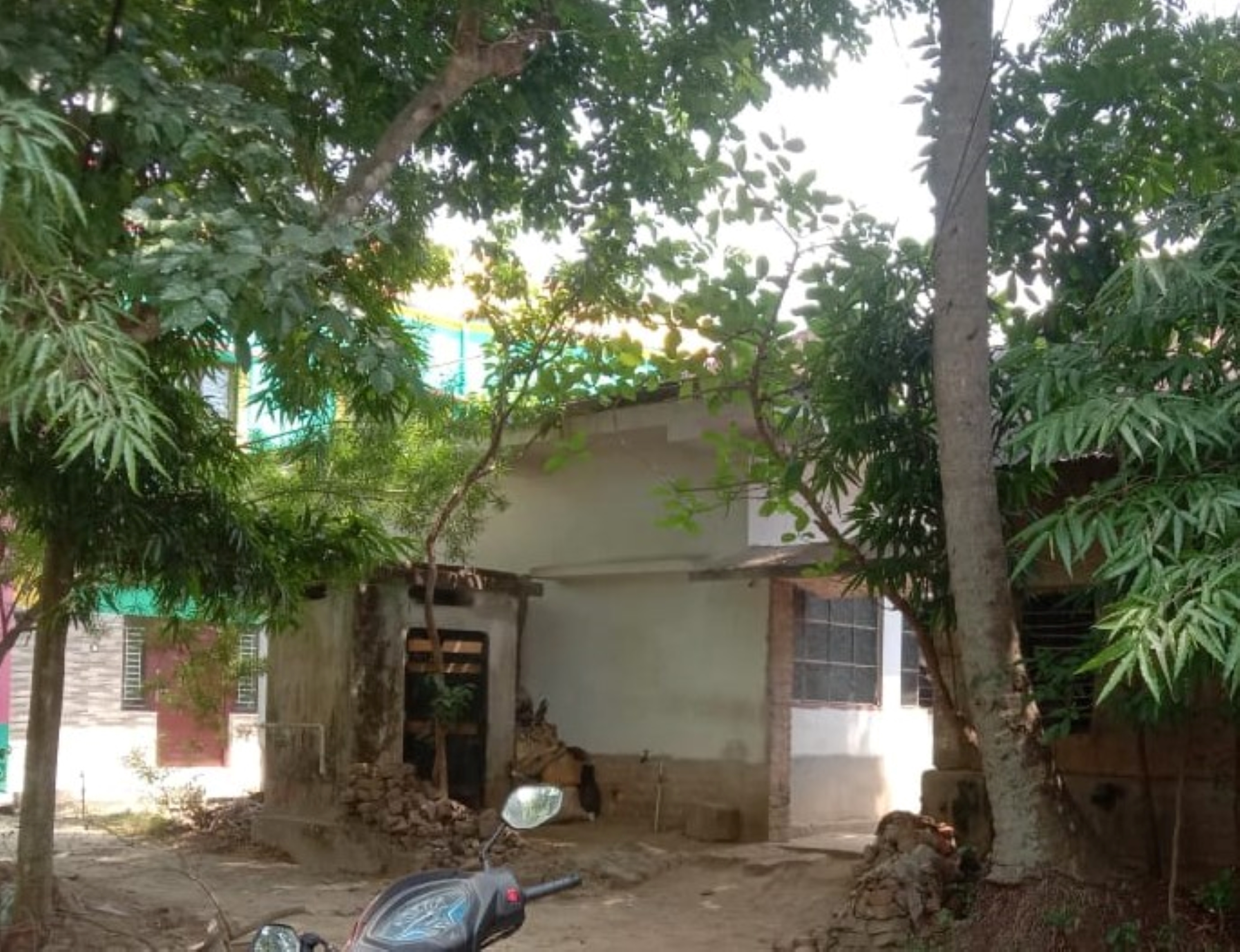 Individual House for Sale in Jagatballavpur
