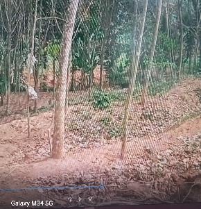 Plot for Sale in Near Marthoma Church,Chamavila,paliyode,,Neyyattinkara taluk, Thiruvananthapuram-695124, Neyyattinkara