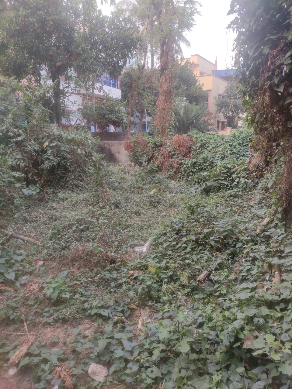 Plot for Sale in BHOLA NANDA PALLY, Burdwan