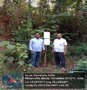 Plot for Sale in Beltangadi