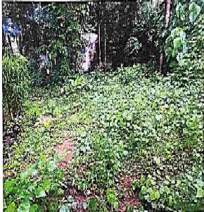 Plot for Sale in KONAJE, Adyar