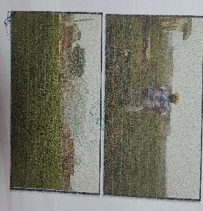 Plot for Sale in BALDEV NAGAR, Ambala