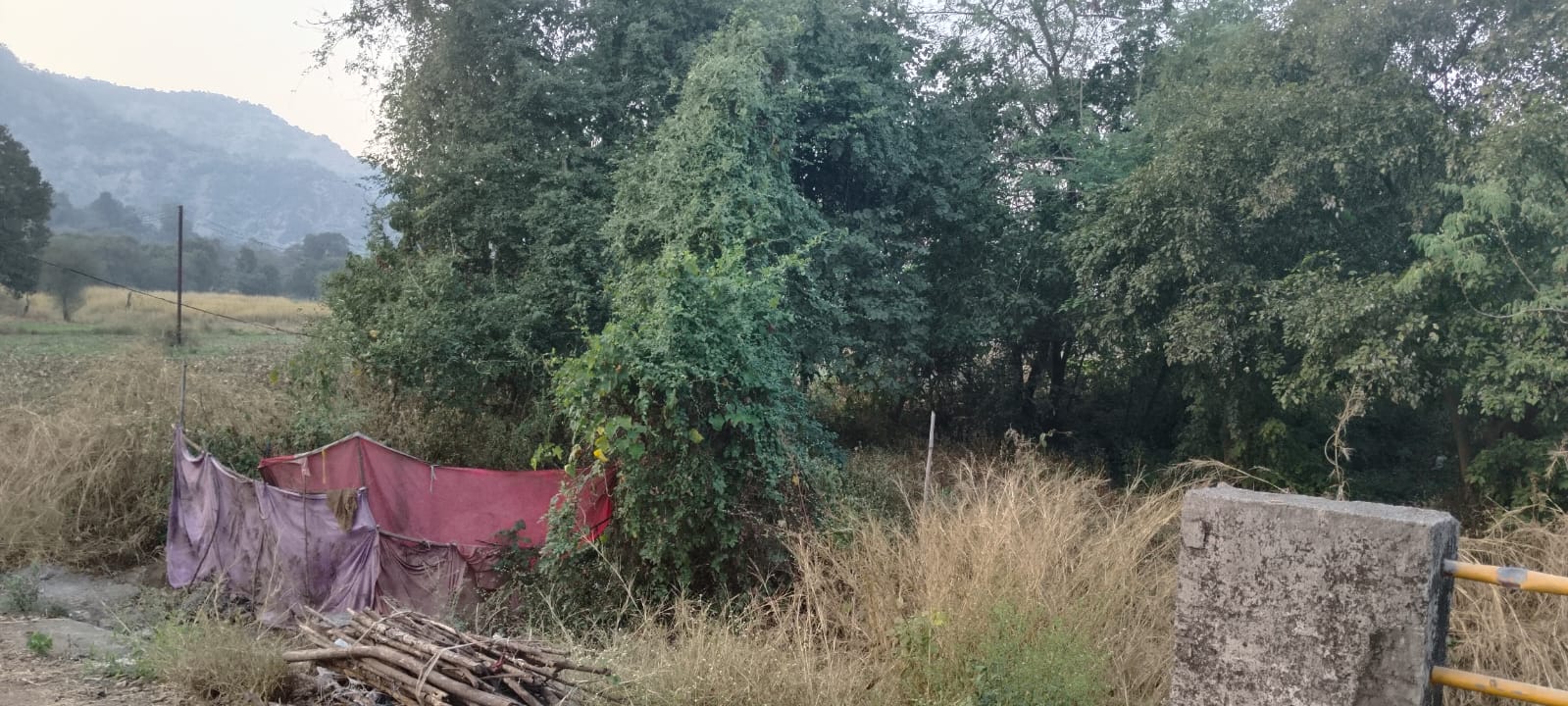 Flat for Sale in Pitampura Delhi, New Delhi