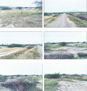 Plot for Sale in Industrial Area Nagarajupalle