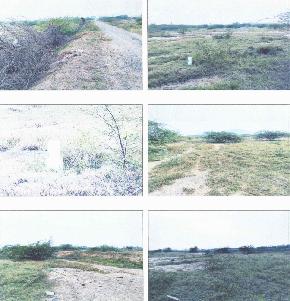 Plot for Sale in Industrial Area Nagarajupalle