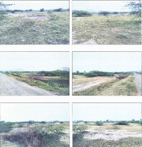 Plot for Sale in Industrial Area Nagarajupalle