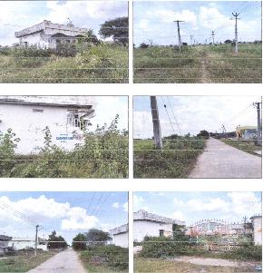 Plot for Sale in Piduguralla