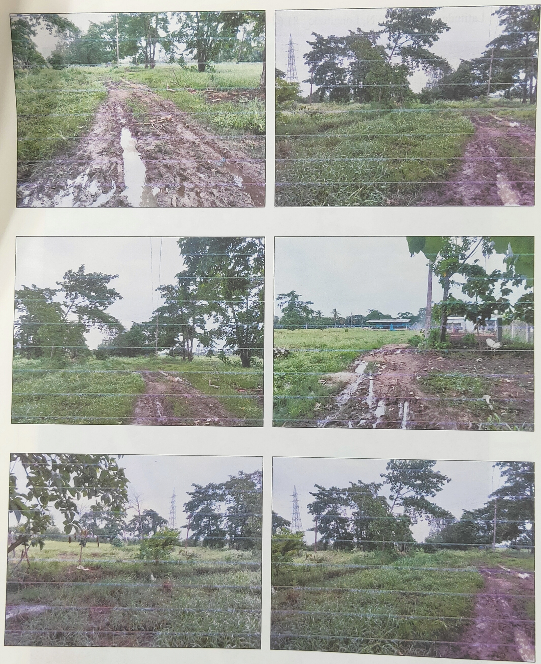 VACANT LAND for Sale in Tanuku