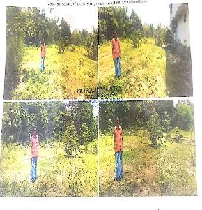 Plot for Sale in Kandi