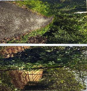 LAND ONLY for Sale in Kollam