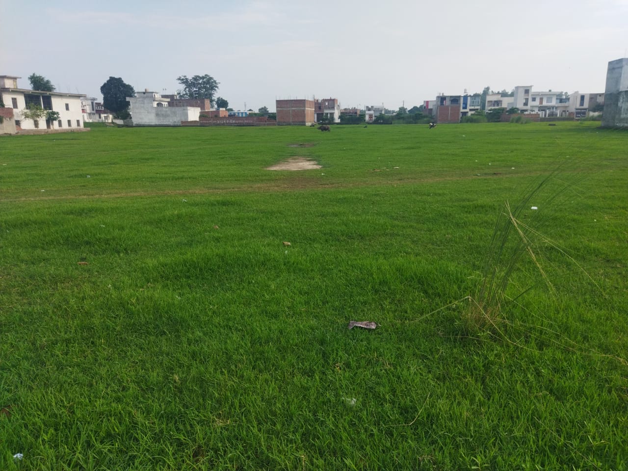Plot for Sale in ESIPL Sitarganj