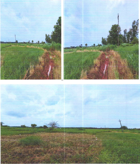 Vacant Plot for Sale in Eluru