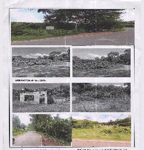 Plot for Sale in Thalavoor Grama Panchayat, Nedumpana