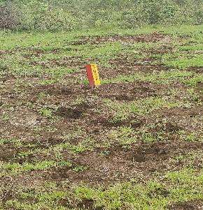 Plot for Sale in Kurnool, Kurnool