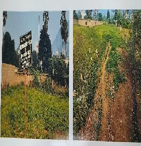 Plot for Sale in Bhimili, Anakapalle
