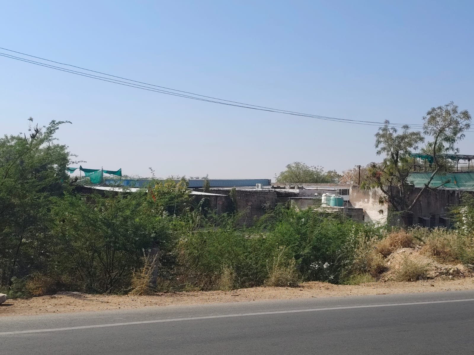 Plot for Sale in Khasra No. 1498/3/1 vill Riyan, Teh Bilara, Distt Jodhpur (Raj)342601, Pipar City