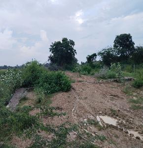 Plot for Sale in Rural, Bhilwara