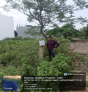 Plot for Sale in DIAMOND PARK, Rajgarh Dhar