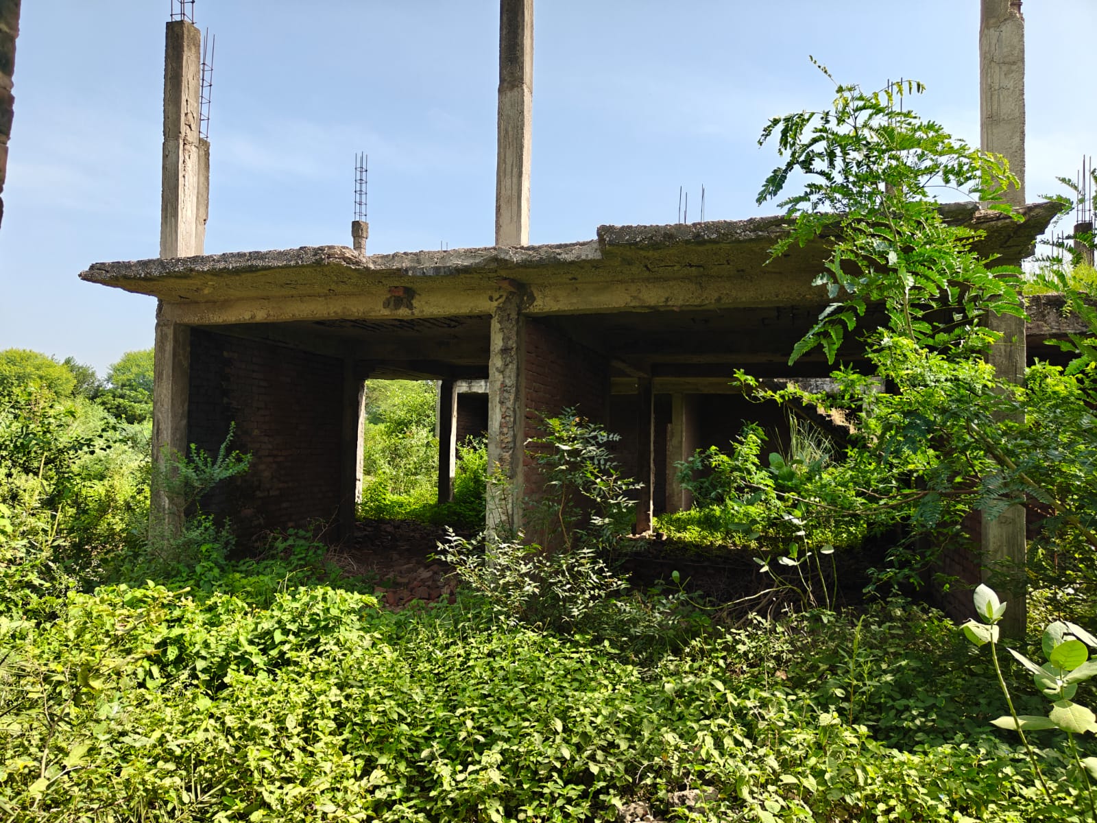 Plot for Sale in Manoharpur Tehsil-Virat Nagar, Jaipur