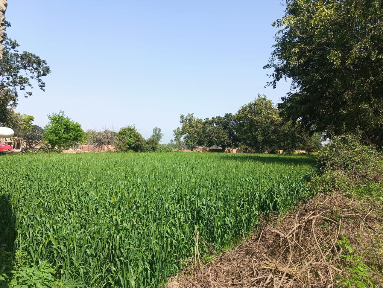 Industrial Plot for Sale in Beelna