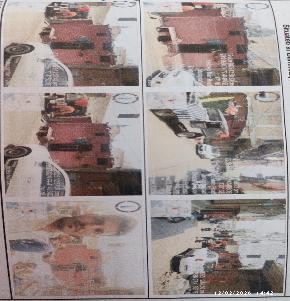 Plot for Sale in VILLAGE-DIDHI, Bhind