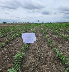 Plot for Sale in Bhikangaon