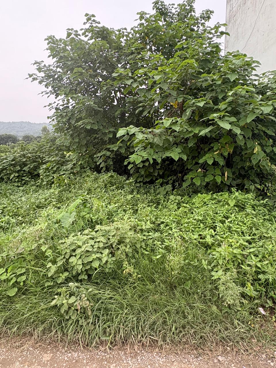 Plot for Sale in KALADHUNGI, IIE Industrial Estate Mohan
