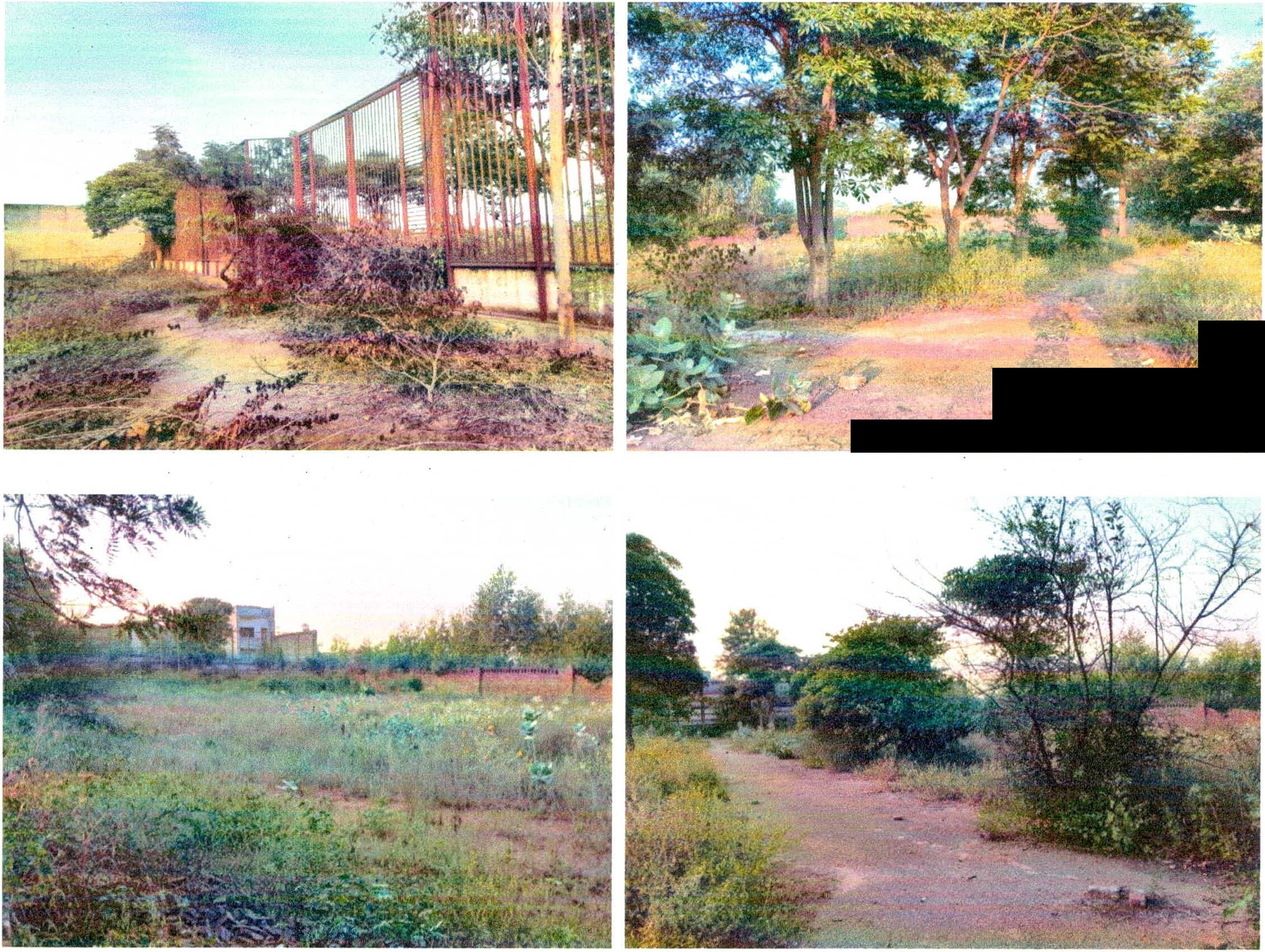 Plot for Sale in Ludhiana