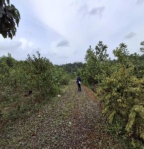 VACANT LAND for Sale in Ganjimutt