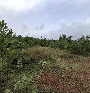 Vacant Land for Sale in Ganjimutt