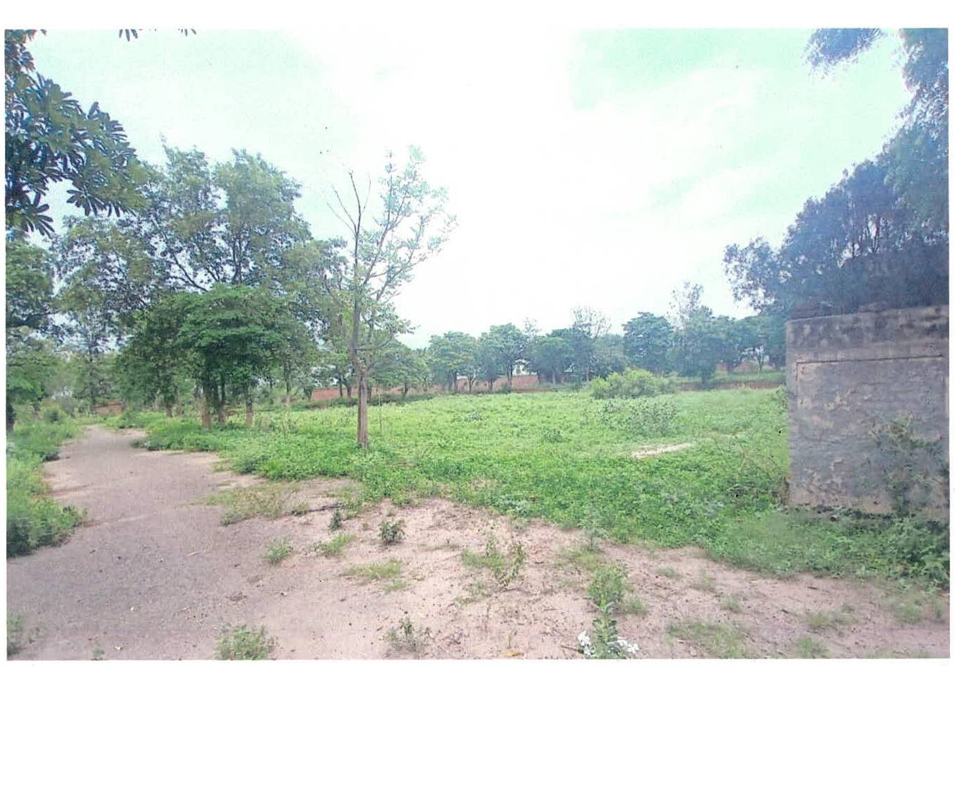 Plot for Sale in Ludhiana