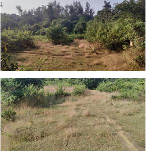 Plot for Sale in Udupi