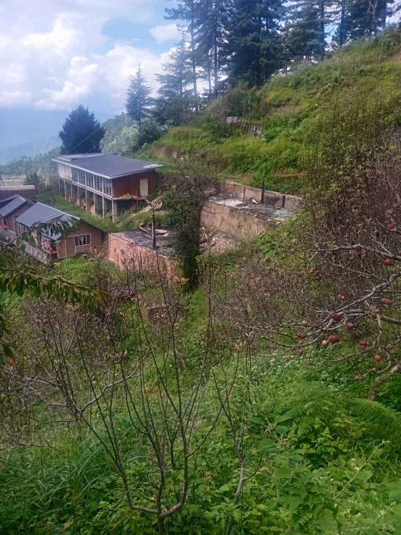 Hotel for Sale in Oddi, Narkanda