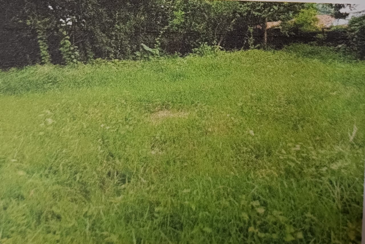 Plot for Sale in Telenpali, Bandhbahal