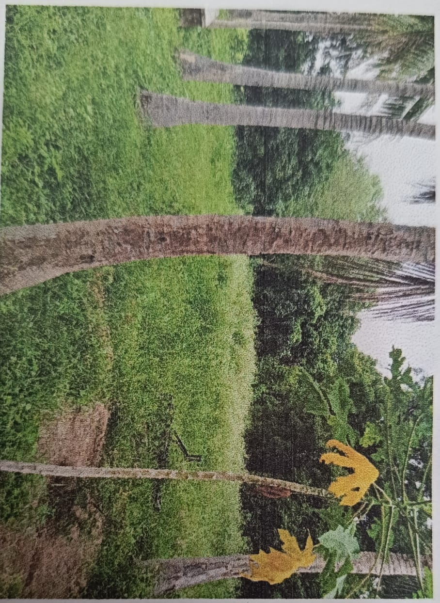 Plot for Sale in Telenpali, Bandhbahal