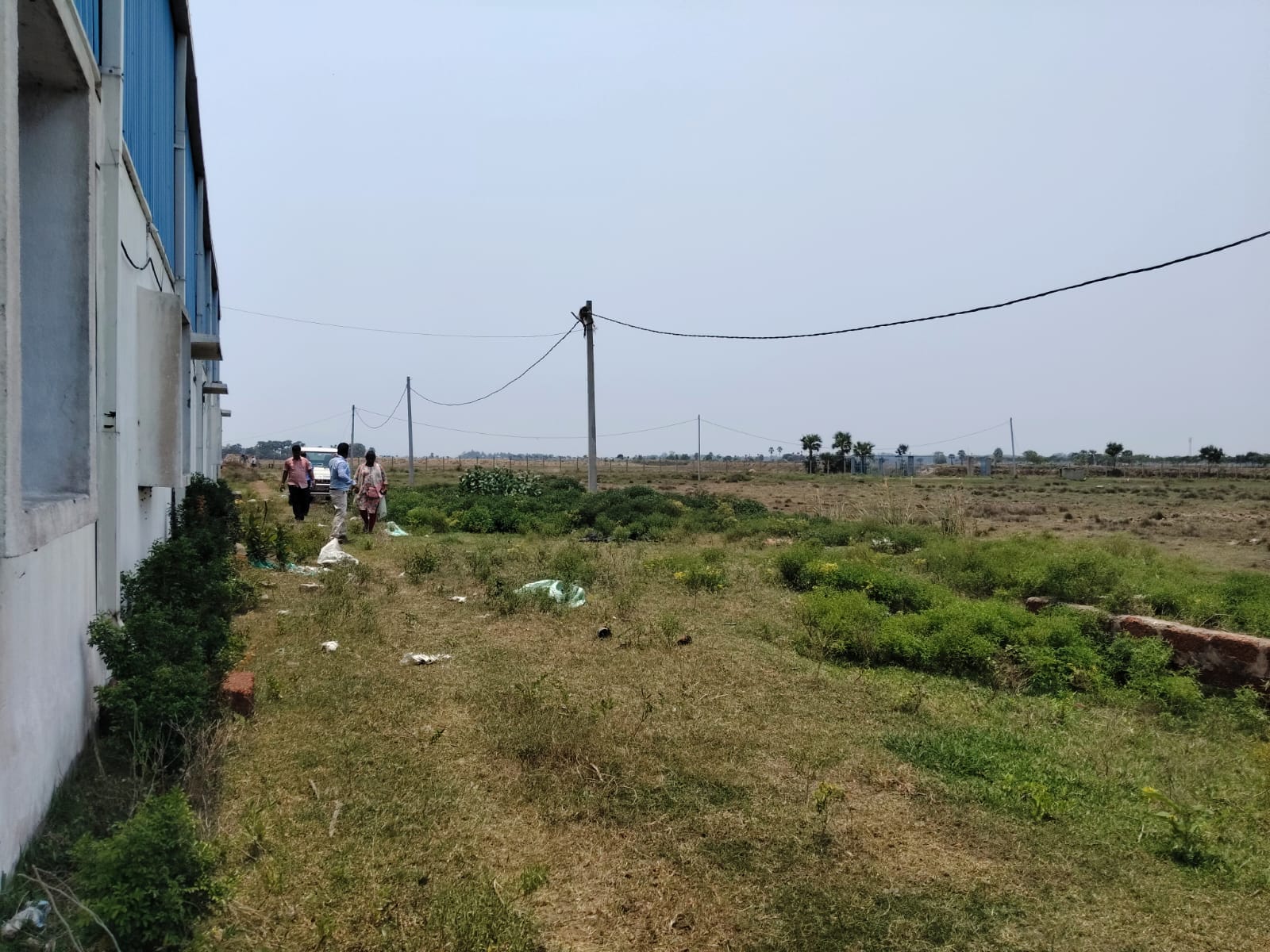 Shed with Plant and Machinery for Sale in KRUSHNA PRASAD,PURI,ODISHA, Puri