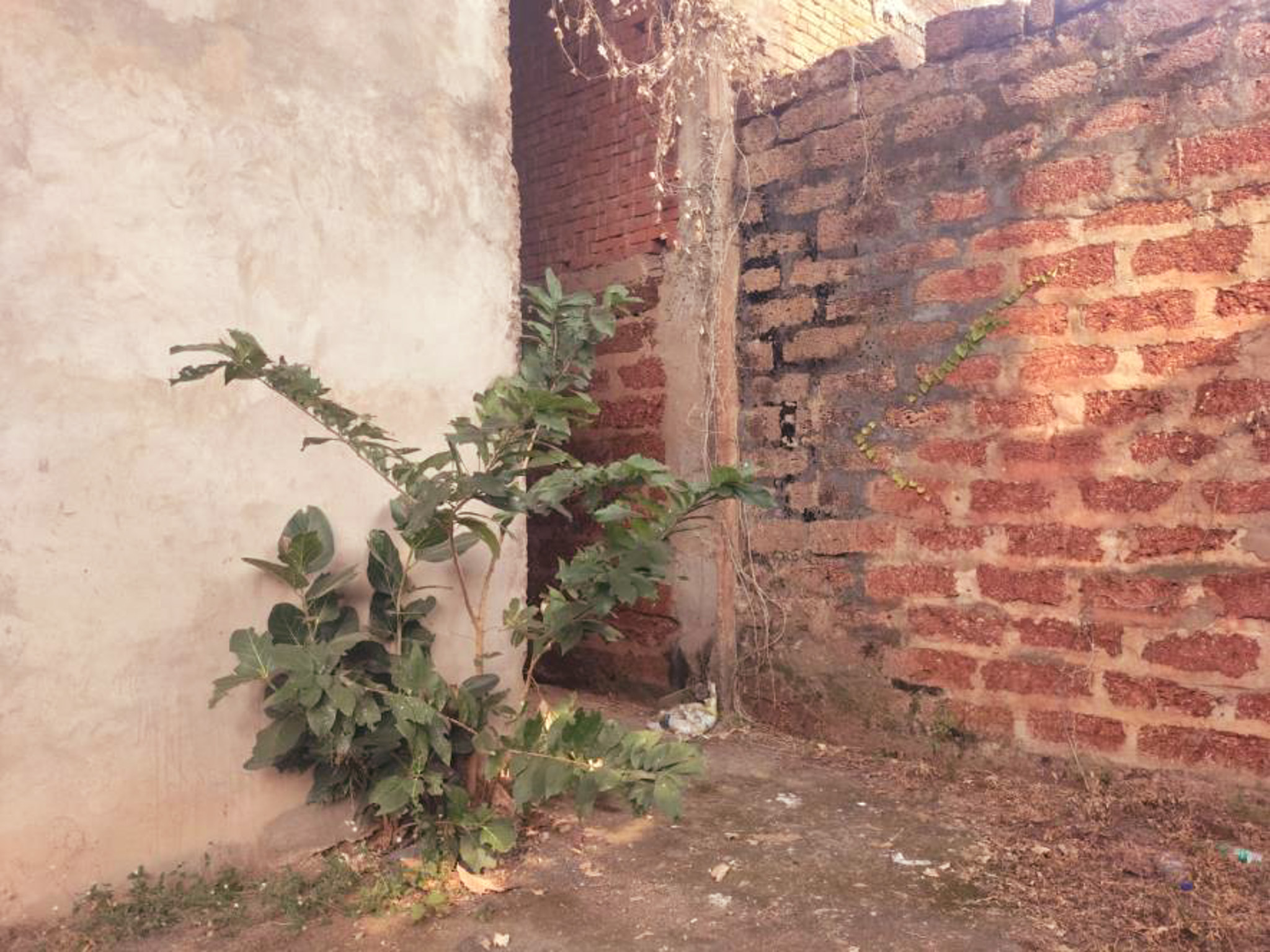 Individual House for Sale in TANGI,CUTTACK, Cuttack