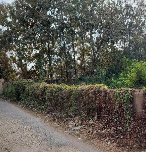 Plot for Sale in Deoghar