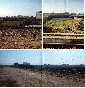 Plot for Sale in Bandia