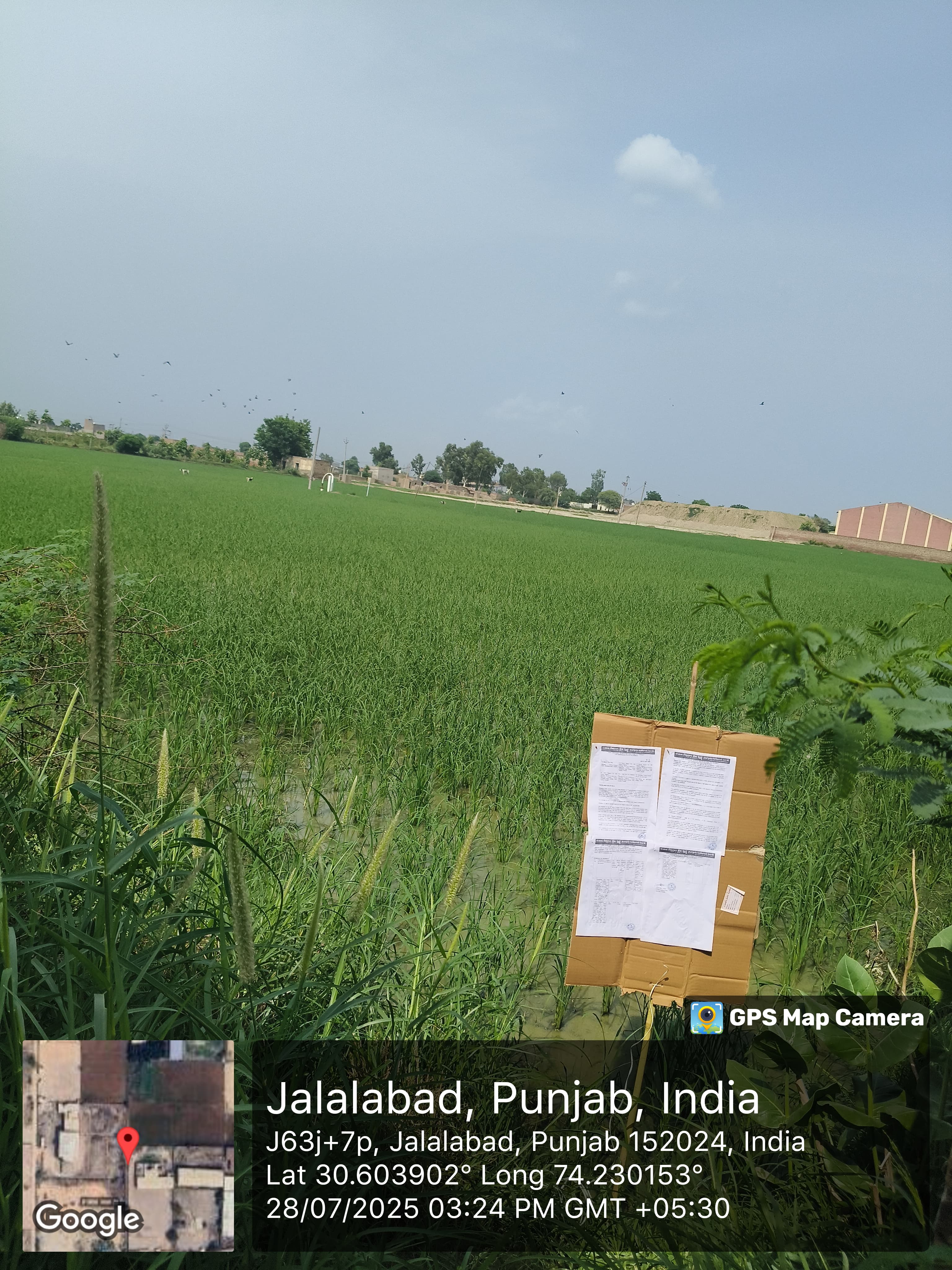Godowns for Sale in Jalalabad