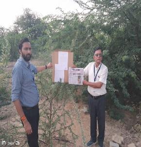 Plot for Sale in Village Dabla, Jaisalmer, Jaisalmer