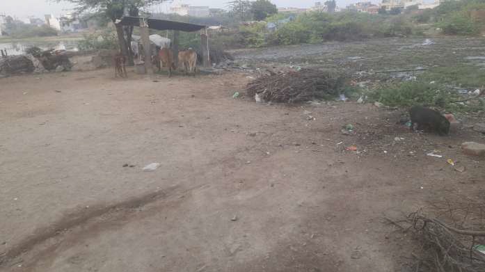Plot for Sale in Sarwar