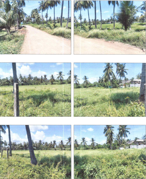VACANT LAND for Sale in Eluru