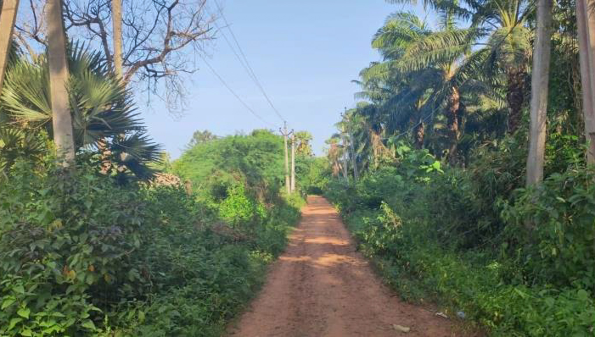 Industrial Plot with Factory Building for Sale in Chebrolu